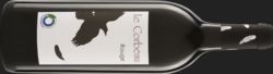 Biowein Berlin LE CORBEAU Rouge 2019 1l Mehrweg