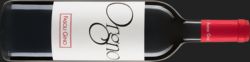 Biowein Berlin ORGNO Merlot Veronese IGT 2012 Fasoli