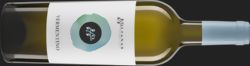 Biowein Berlin Vermentino di Sardegna DOC 2020 Olianas