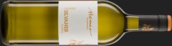 Biowein Berlin Silvaner QW Rheinhessen 2020 1l Hemer