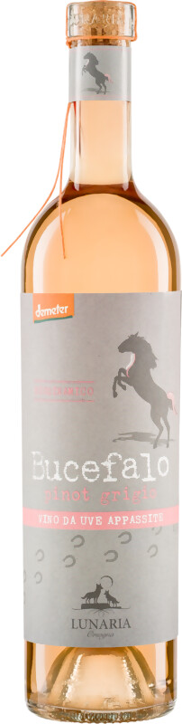 Grüner Laden Wein